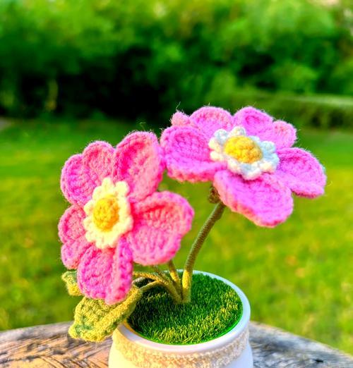 盆栽玫瑰花的修剪方法是什么？如何保持其形状？