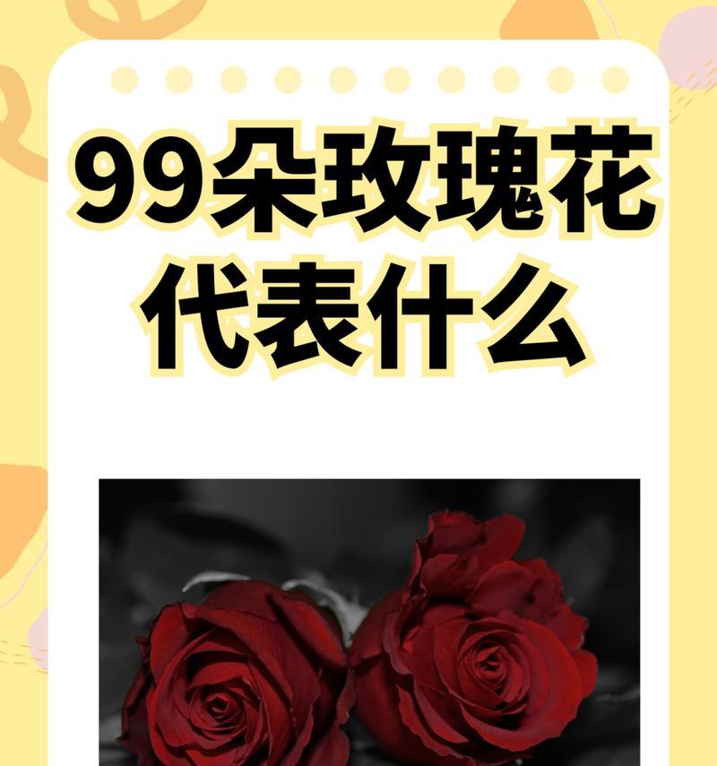 夜里收到玫瑰花有何寓意？