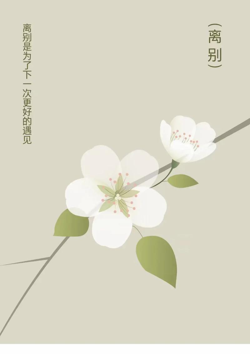 离别后适合送什么花？花语中离别的情感如何表达？