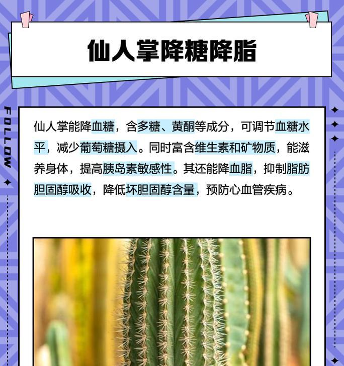仙人掌大片种植的秘诀是什么？