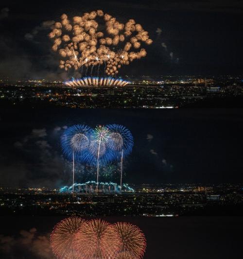 烟花树的花语是什么？烟花树象征着什么？