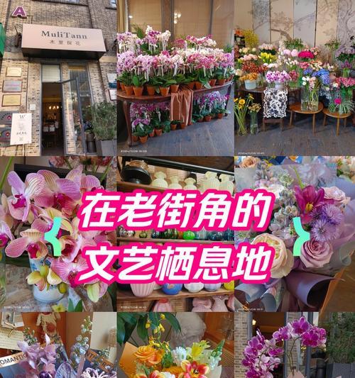 兰花花语有哪些经典语录？