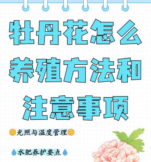 牡丹花为何害怕高温不开花？