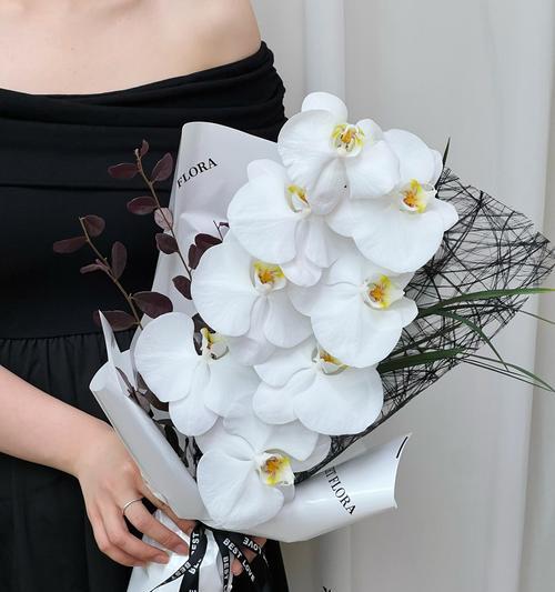 三枝蝴蝶兰的花语是什么意思？三枝蝴蝶兰代表了什么？