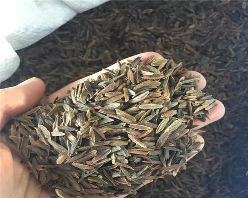 柔登玲花的寓意是什么？