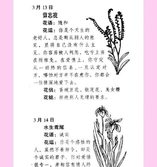 简单好记的花语是什么？哪种花语容易让人记住？