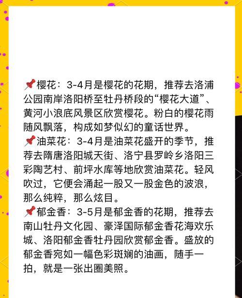 鲜花店牡丹花养护技巧是什么？如何延长花期？