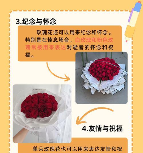 红玫瑰花的花语种子代表什么含义？
