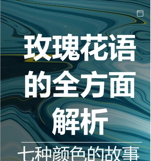 红玫瑰花的花语种子代表什么含义？