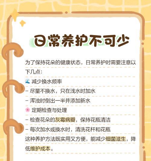 玫瑰花养护是否需要换水？不换水的原因是什么？