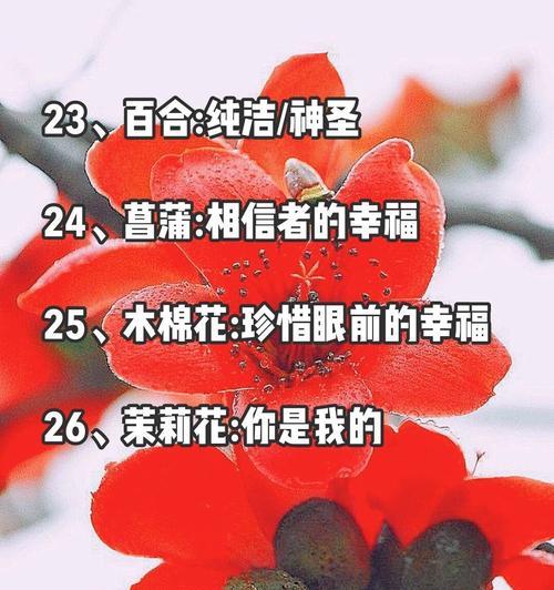 山茶花和桔梗的花语是什么？这两种花语有何寓意？