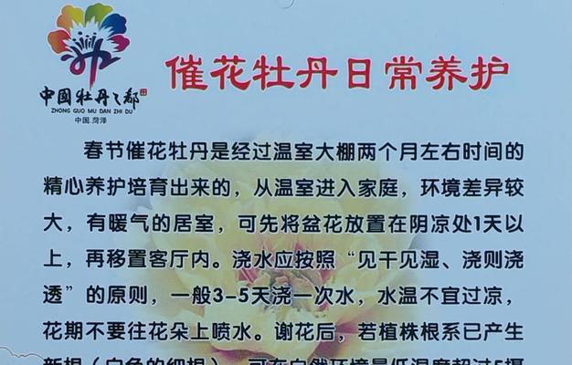 牡丹花妖花开花的难易程度及原因是什么？