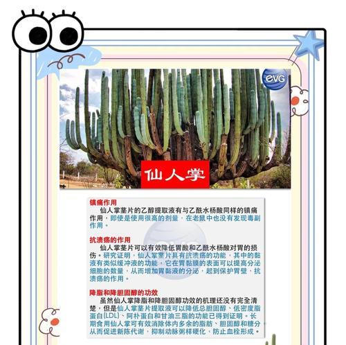 仙人掌小块种植有哪些步骤？需要特别注意什么？