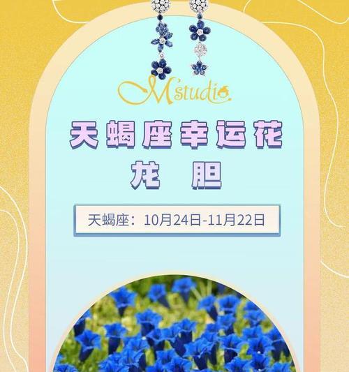 哪种花的花语象征着幸运？