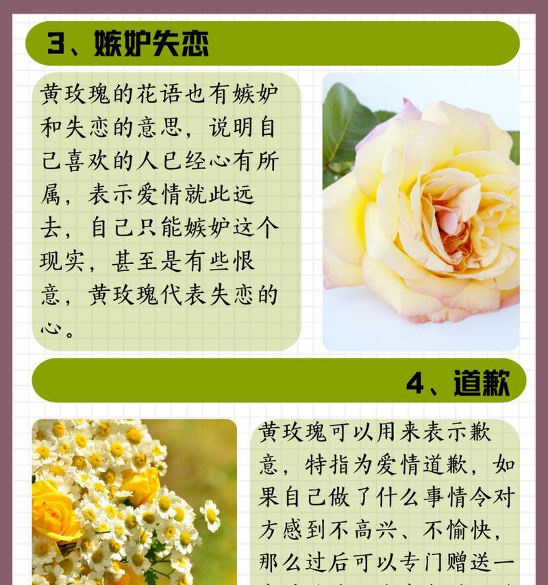 送爸爸花束时应该选择哪种花语？它们各自代表什么？