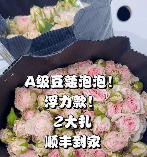 豆蔻玫瑰花的养护技巧有哪些？