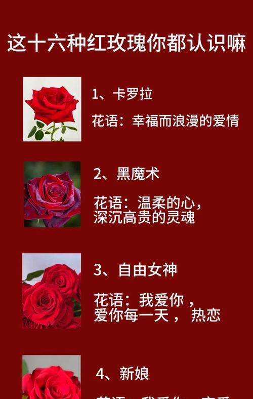 手拿玫瑰花亲吻代表什么含义？