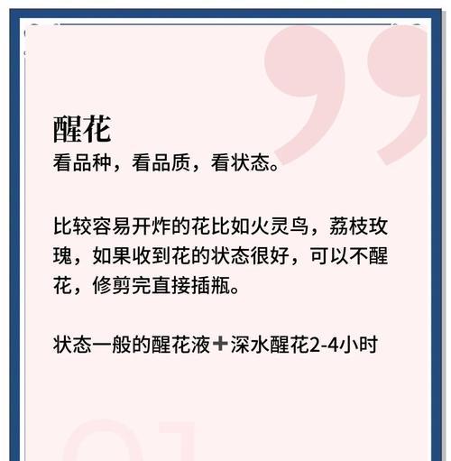 家里玫瑰花的养殖秘诀是什么？如何防止玫瑰花死亡？
