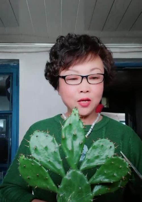 仙人掌过高时修剪的正确方法是什么？