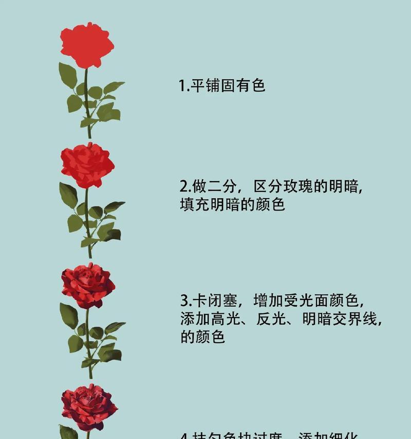 玫瑰花小瓣子种植方法是什么？种植后多久能开花？