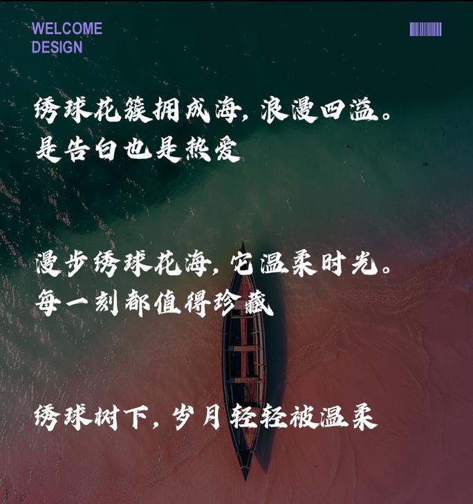紫绣球花语中蕴含了哪些浪漫意义？