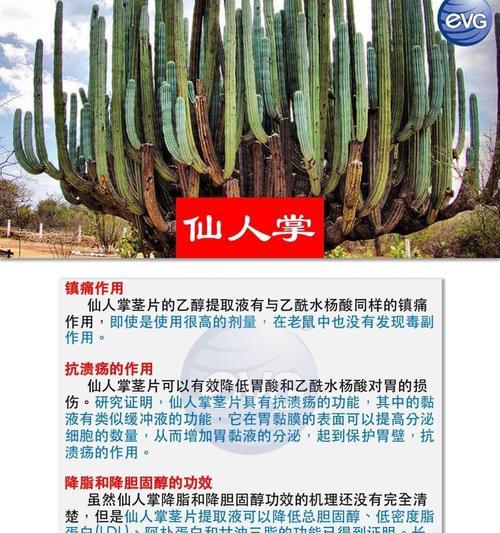 仙人球专用土壤的成分和作用是什么？