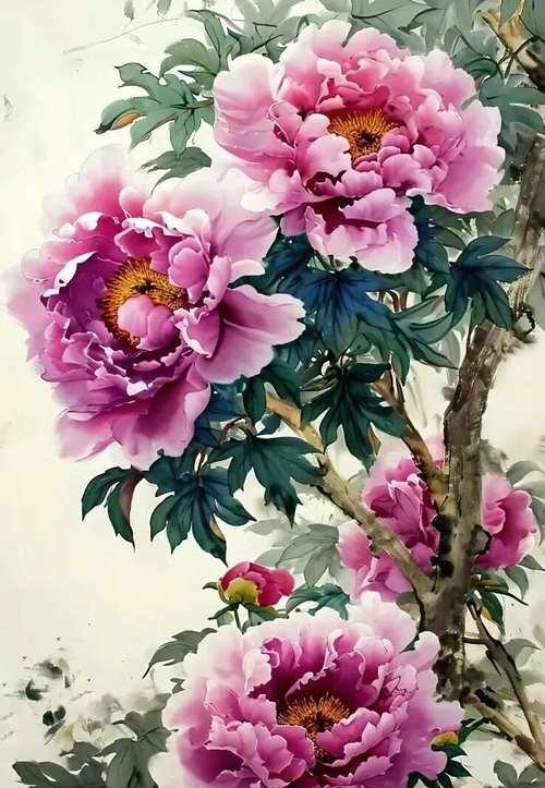 绿叶富贵牡丹花的养护和管理要点是什么？