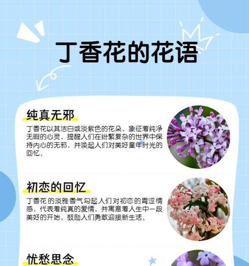 哪种花的花语寓意着逝去？逝去的花语具体是什么？