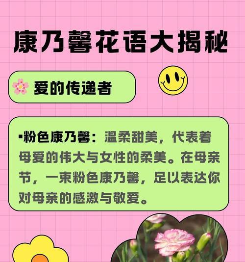 花语与寓意之间存在哪些不同？