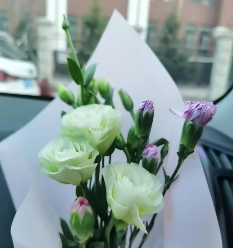 送美羊羊花的花语代表什么？如何表达爱意？