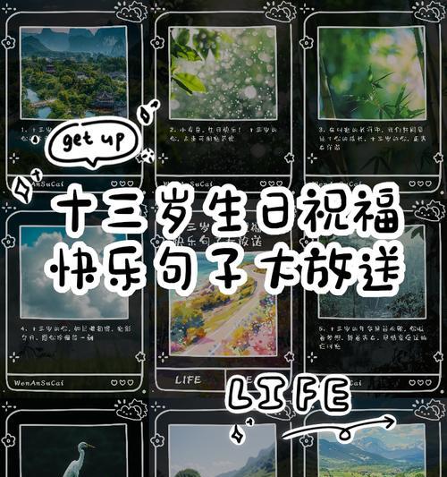十月十三日出生的人的生日花语是什么？