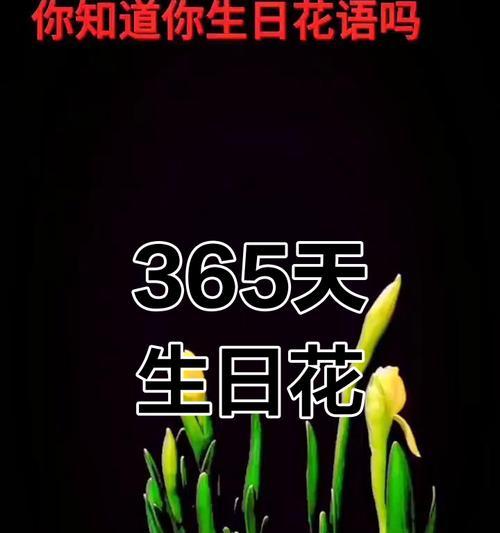 十月十三日出生的人的生日花语是什么？