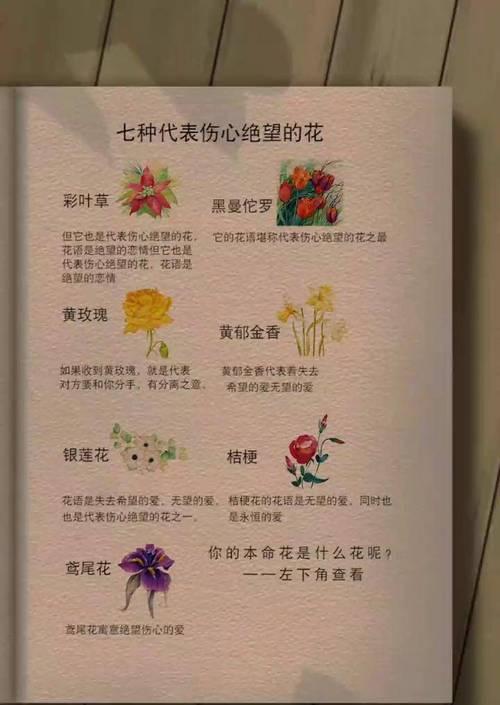 幸运之花花语是什么意思？这种花语如何带来好运？