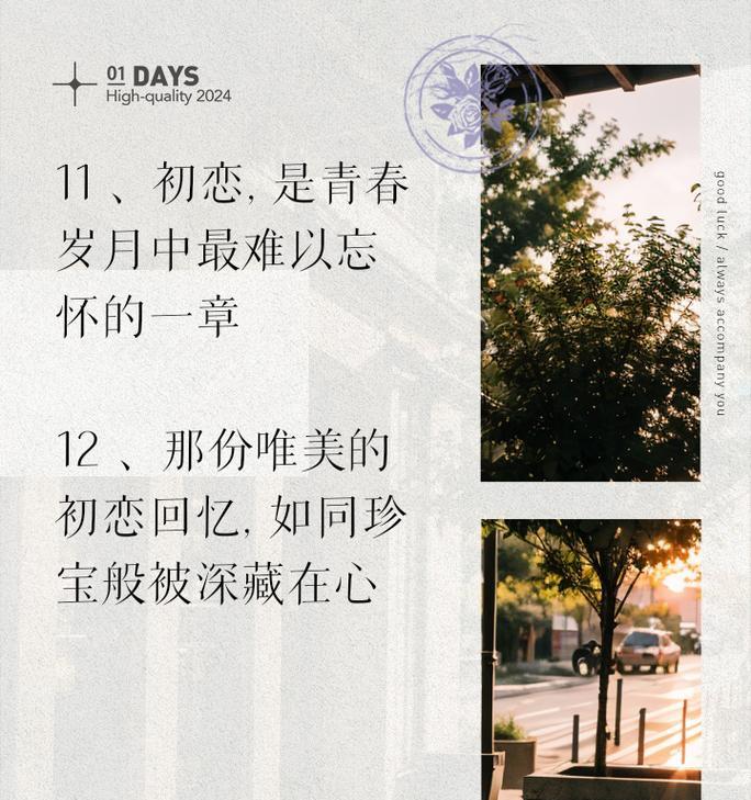 初恋时应该选择哪种花语表达情感？