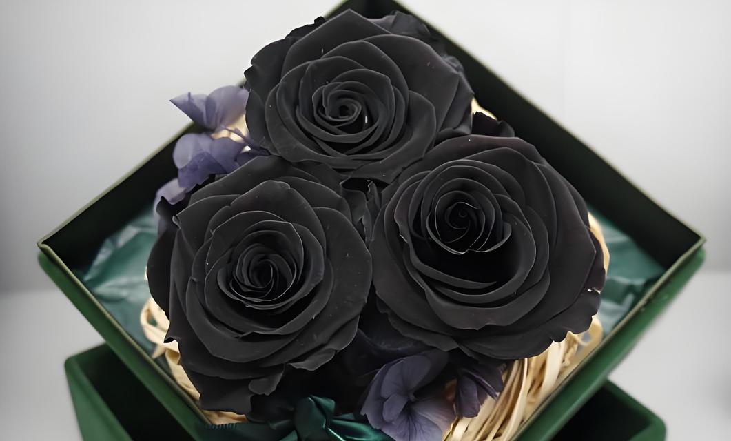 鬼马甜心玫瑰花语是什么？这种花语有何寓意？