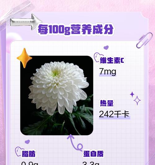 白菊花在国际花语中代表什么？为何它有这种含义？