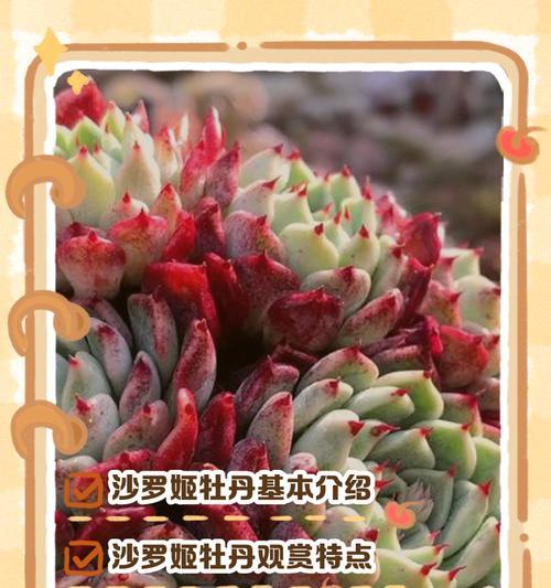 秋冬季节牡丹花如何养护？新种牡丹花的正确养护方法是什么？