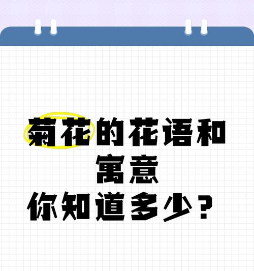 白菊花在国际花语中代表什么？为何它有这种含义？