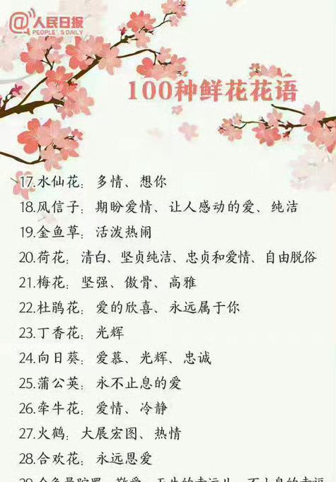 现代人的心情花语通常是什么？