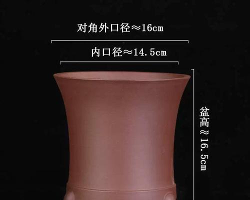 大盆老庄君子兰好养吗？养殖方法有哪些？