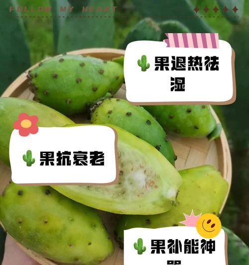 梨果仙人掌结果需要什么条件？如何促进其结果？