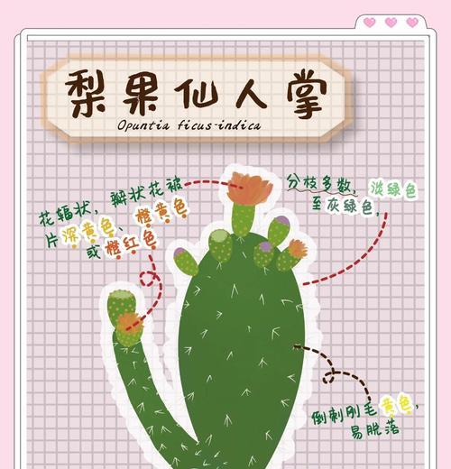 梨果仙人掌结果需要什么条件？如何促进其结果？