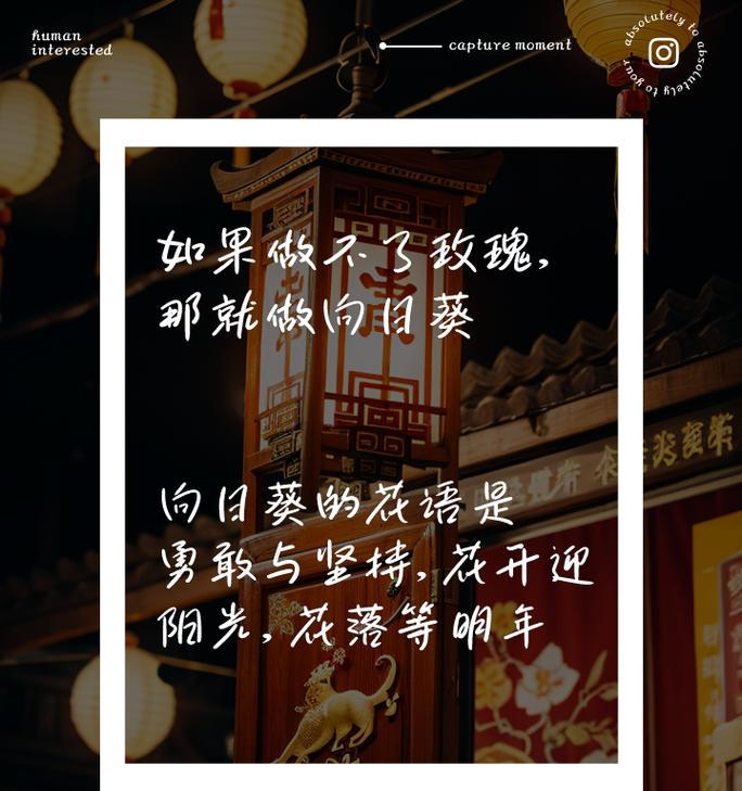 向日葵未来的花语是什么？它象征着怎样的希望和梦想？