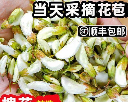 红洋槐花的花语有何深意？它象征着什么？