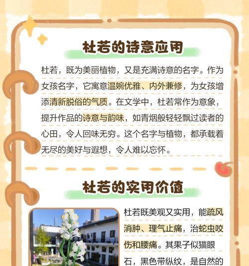 杜若的花语是什么？杜若代表了哪些寓意？