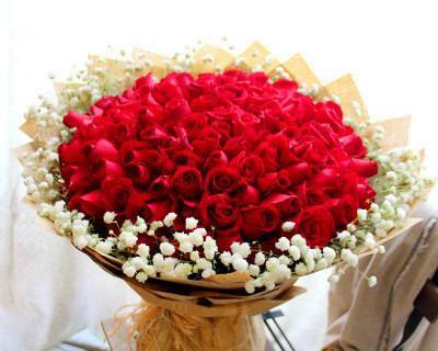 谢谢师傅花语是什么？这句花语表达了怎样的情感？