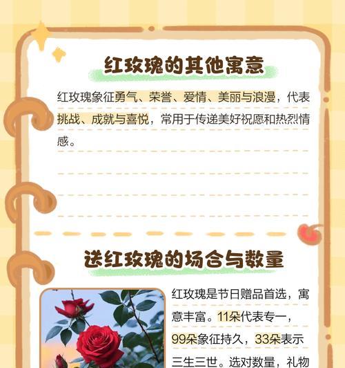 红玫瑰通常表达什么情感？