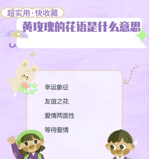 心之花的花语代表了什么情感？