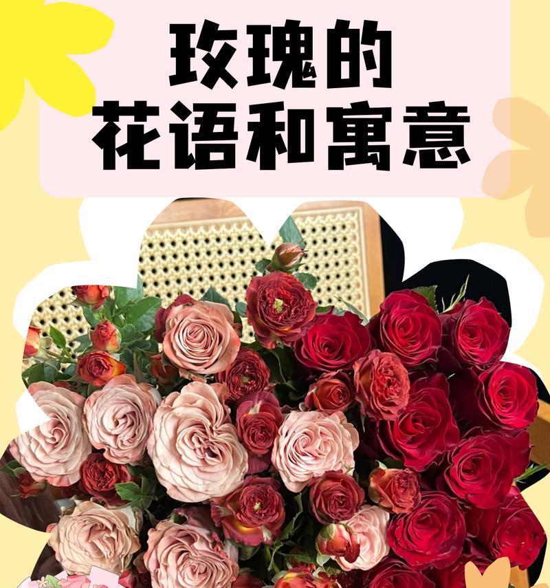 玫瑰花的漂亮花语是什么？