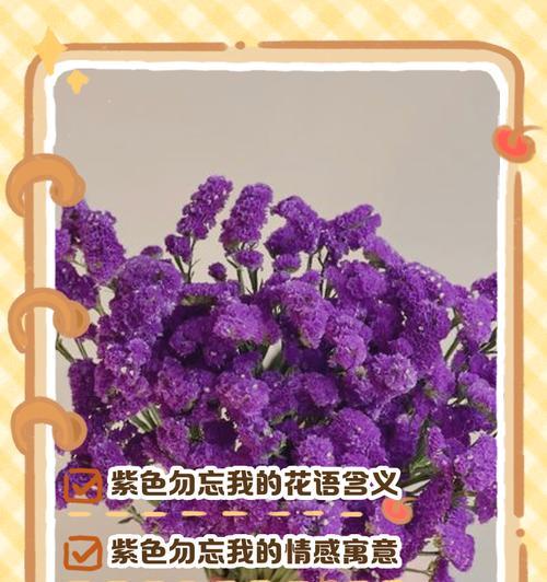 小花花语名称有哪些？